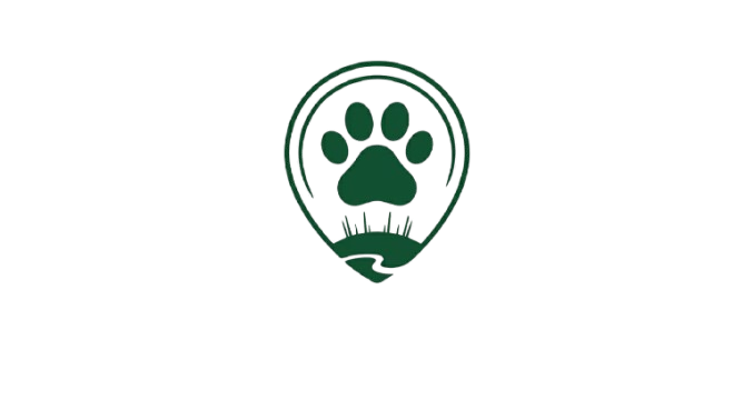 WhatsApp_Image_2026-07-29_at_21.12.11-removebg-preview.png