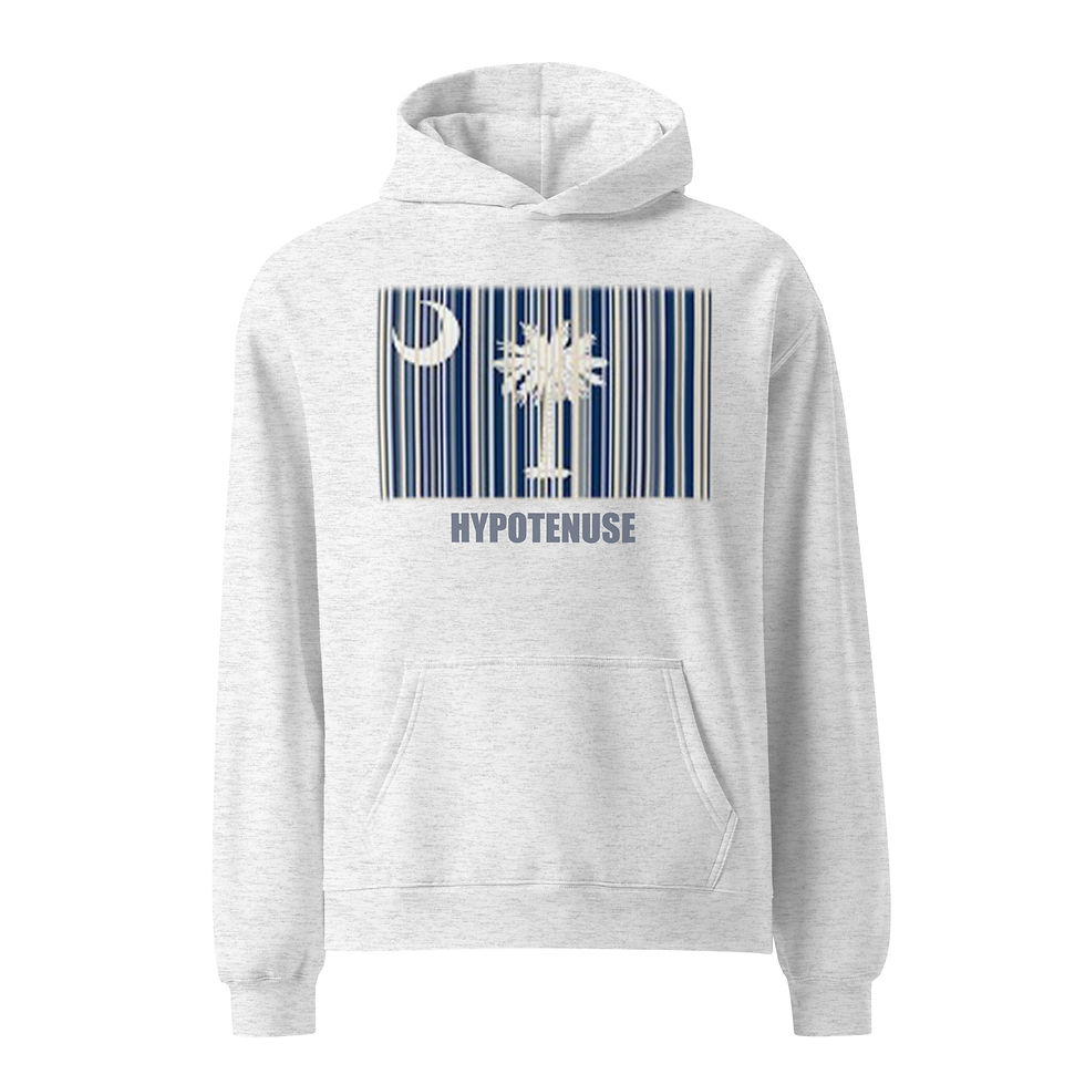Thumbnail: PALMETTO PRIDE / SC BAR CODE HOODIE