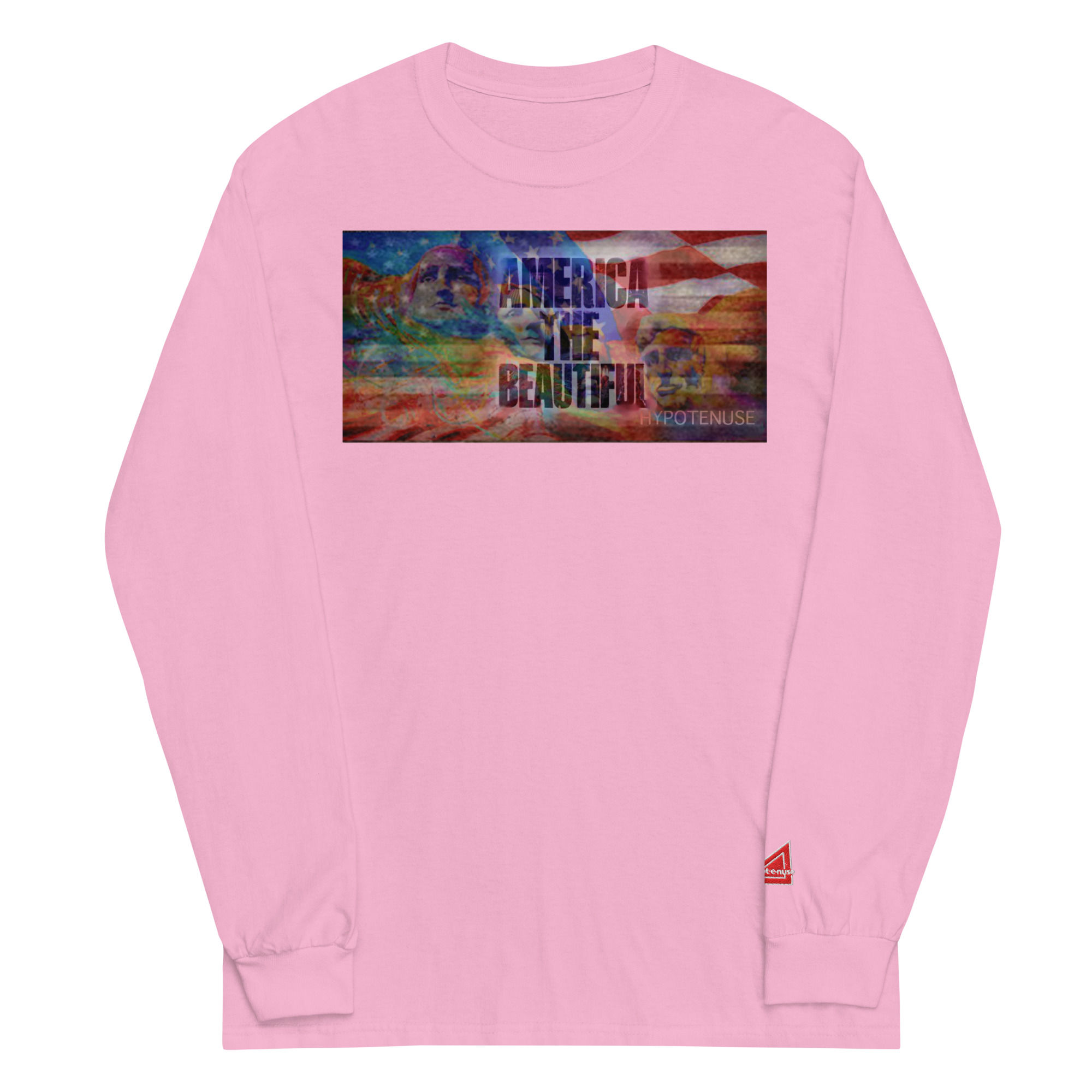 PALMETTO PRIDE / AMREICA TEE
