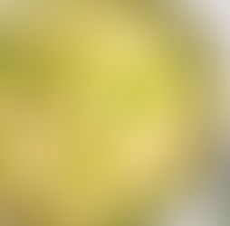 Romige aardappelpuree