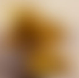 Rijstballetjes met mozzarella