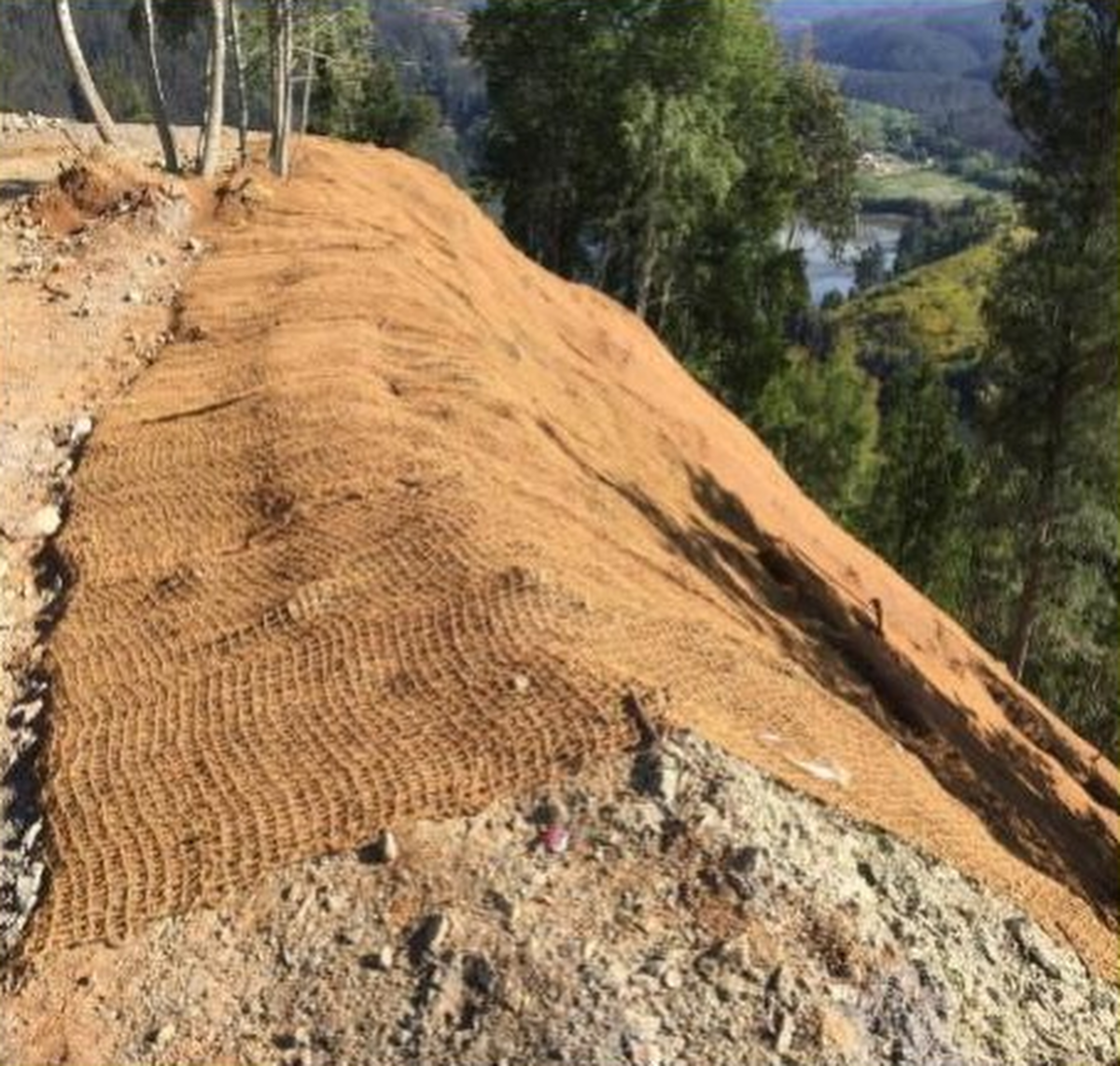 Coir Geotextiles