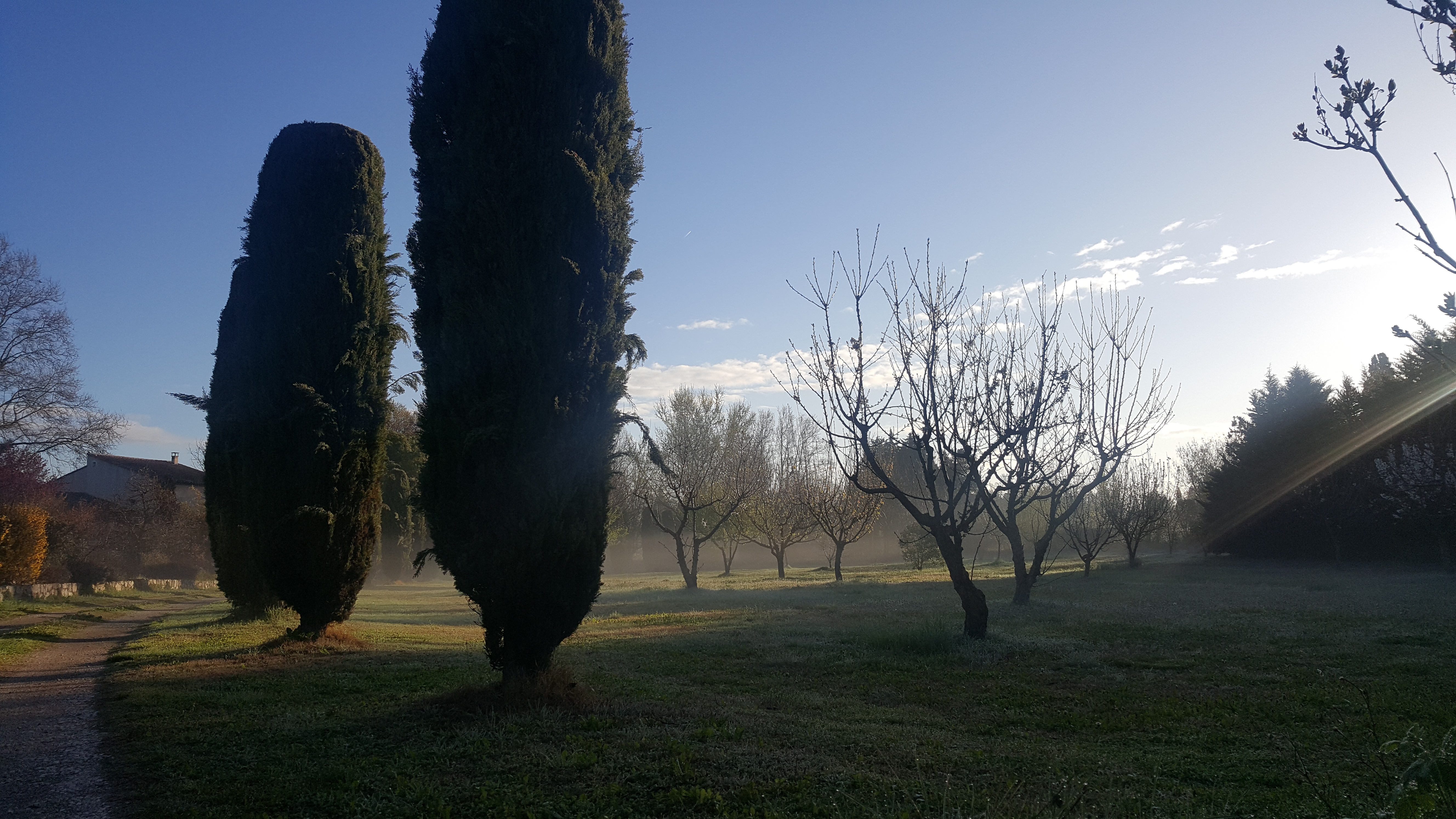20180405_081539