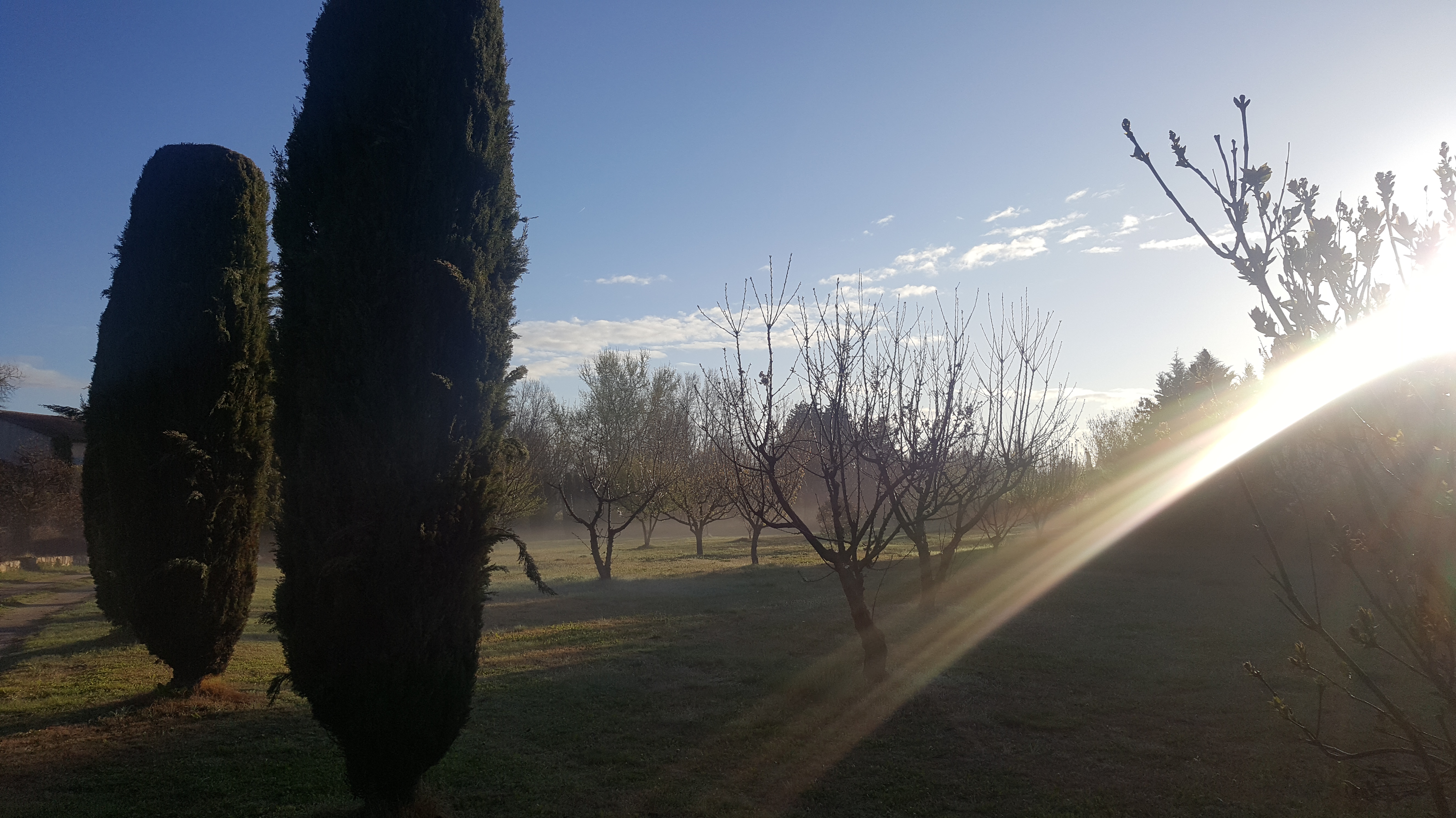 20180405_081525