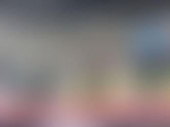 Musang King Channel的台北全攻略:带你玩转美食、文化与城市风采