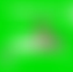 【五感DIY】自然圈農場：生態藝術美學盒DIY體驗