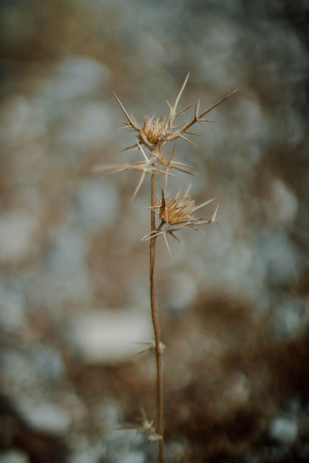 Greece photography by Charles Devoyer, Paris photographer