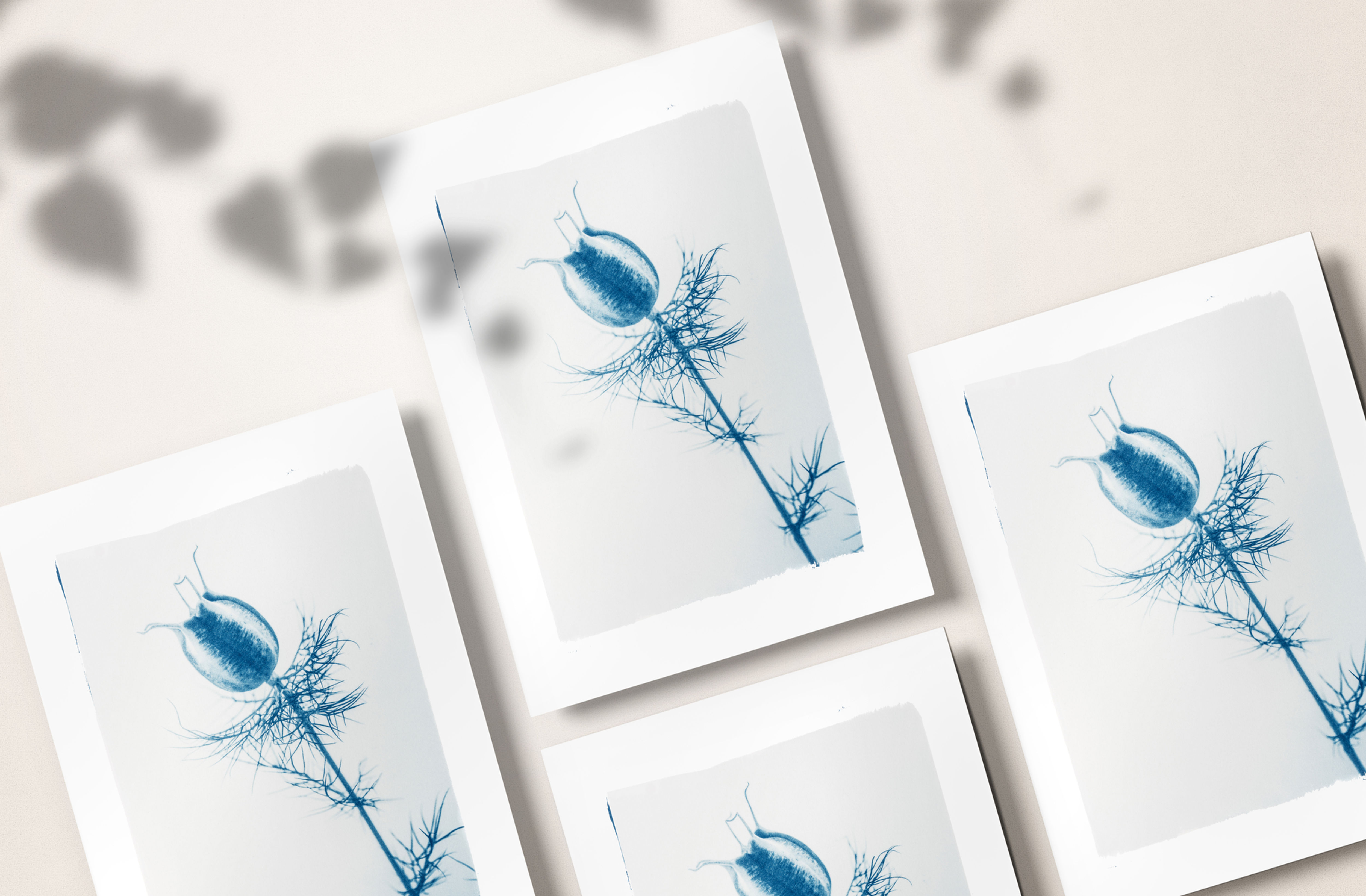 "Funambule sur un fil de grâce" Print