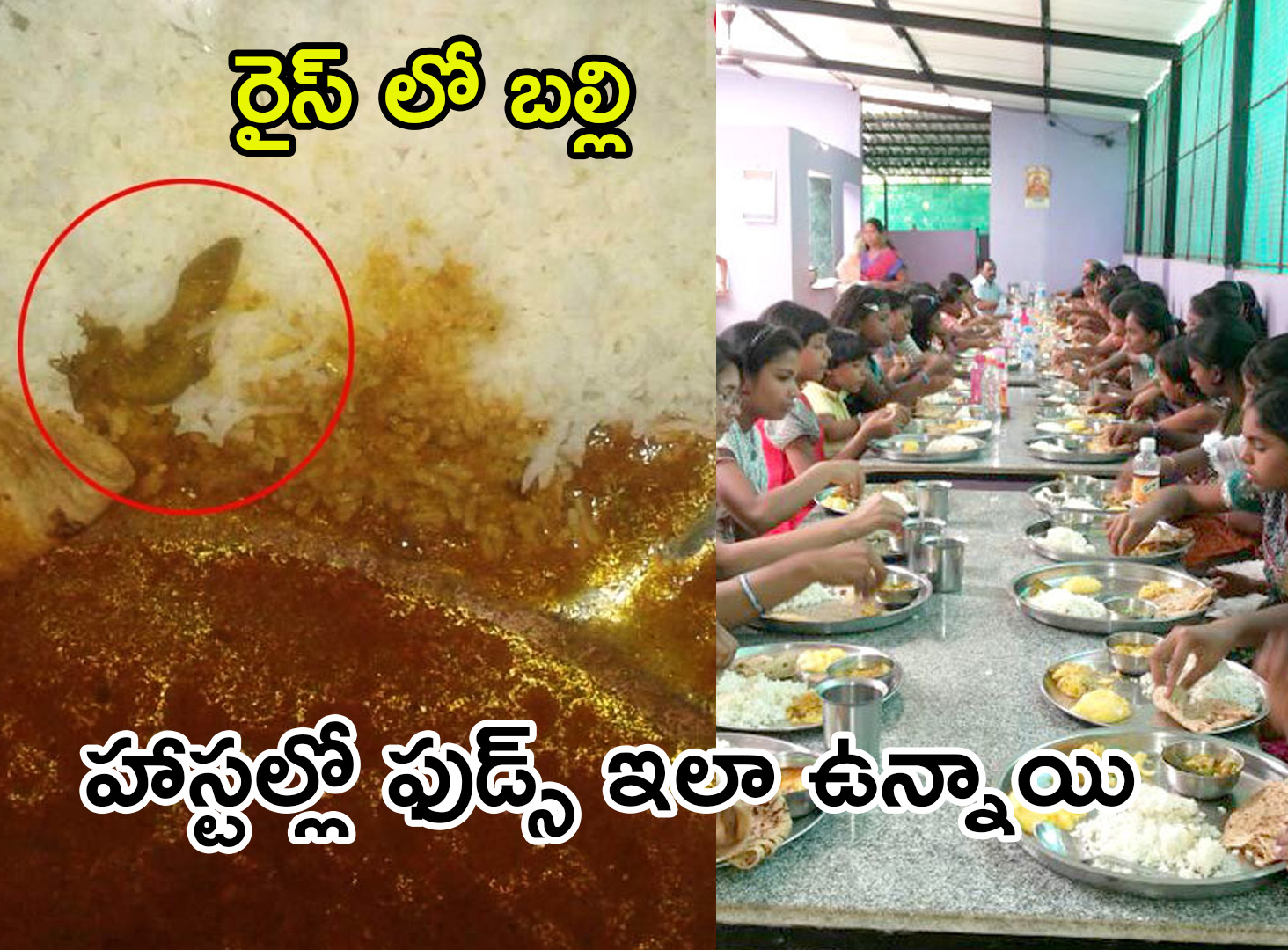  మీ పిల్లలను హాస్టల్ లో వేస్తున్నారా లేదా వేశారా అయితే జాగ్రత్త ...!