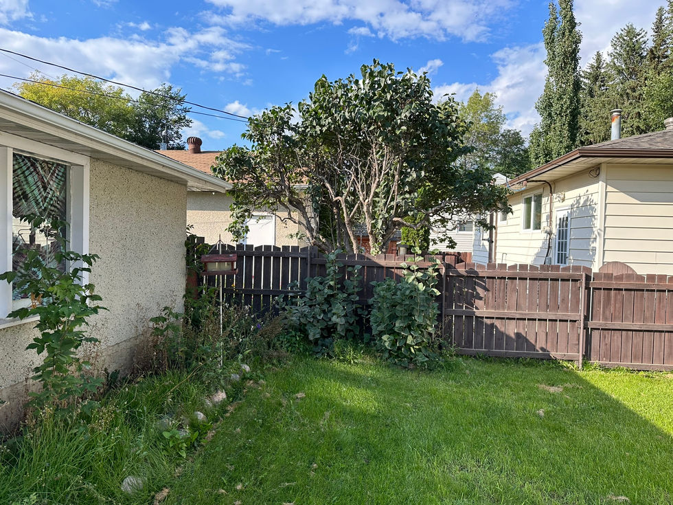 Backyard Before (4).JPEG