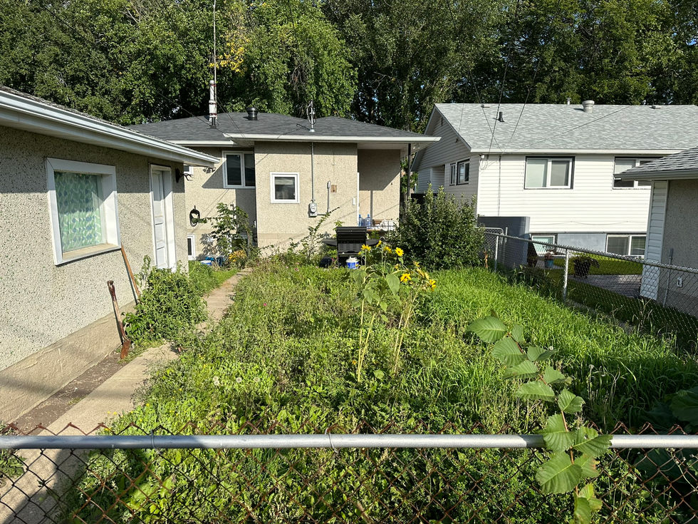 Backyard Before (1).JPEG