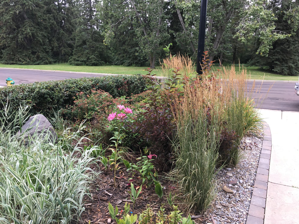 Summit Drive Planters (7)