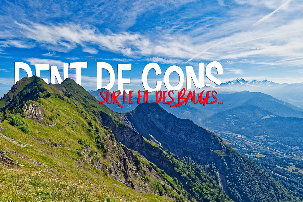 Dent de Cons.jpg