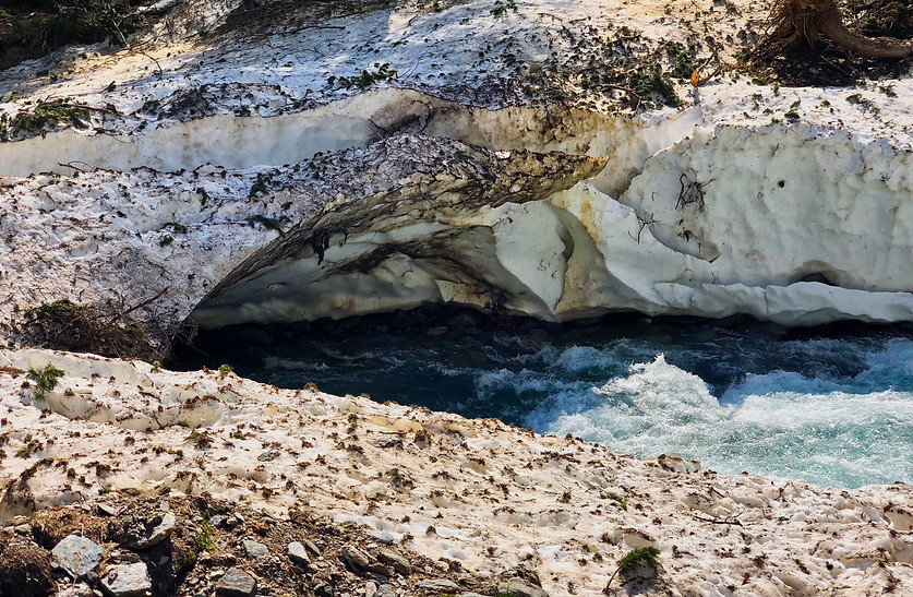 Le torrent d'Ambin