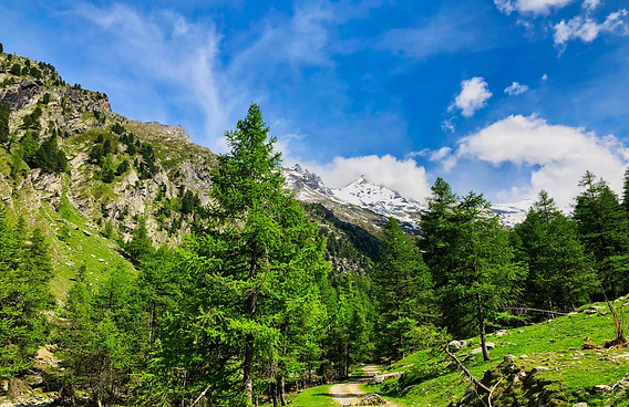Vallon d'Ambin
