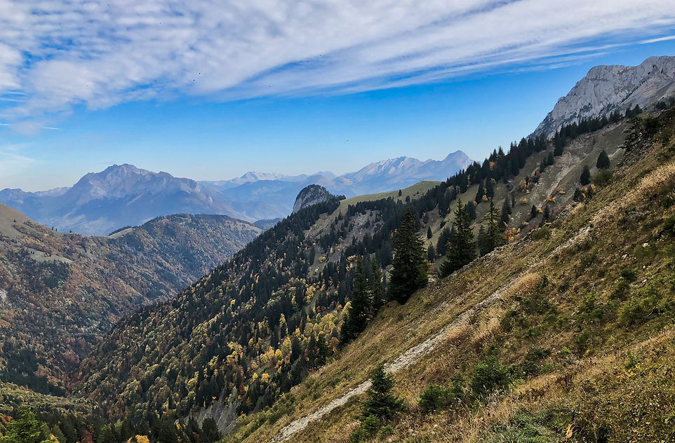 Col d'Orgeval
