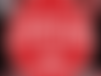 UNDERSTANDING PLR AND MRR: A COMPREHENSIVE GUIDE