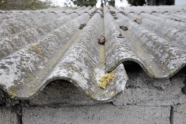 Dangers of Asbestos page photo.jpeg