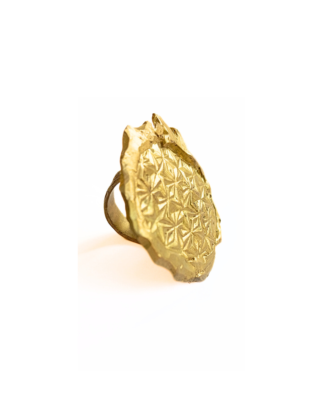 ROGERIO BISSOLOTTI | Anel VI