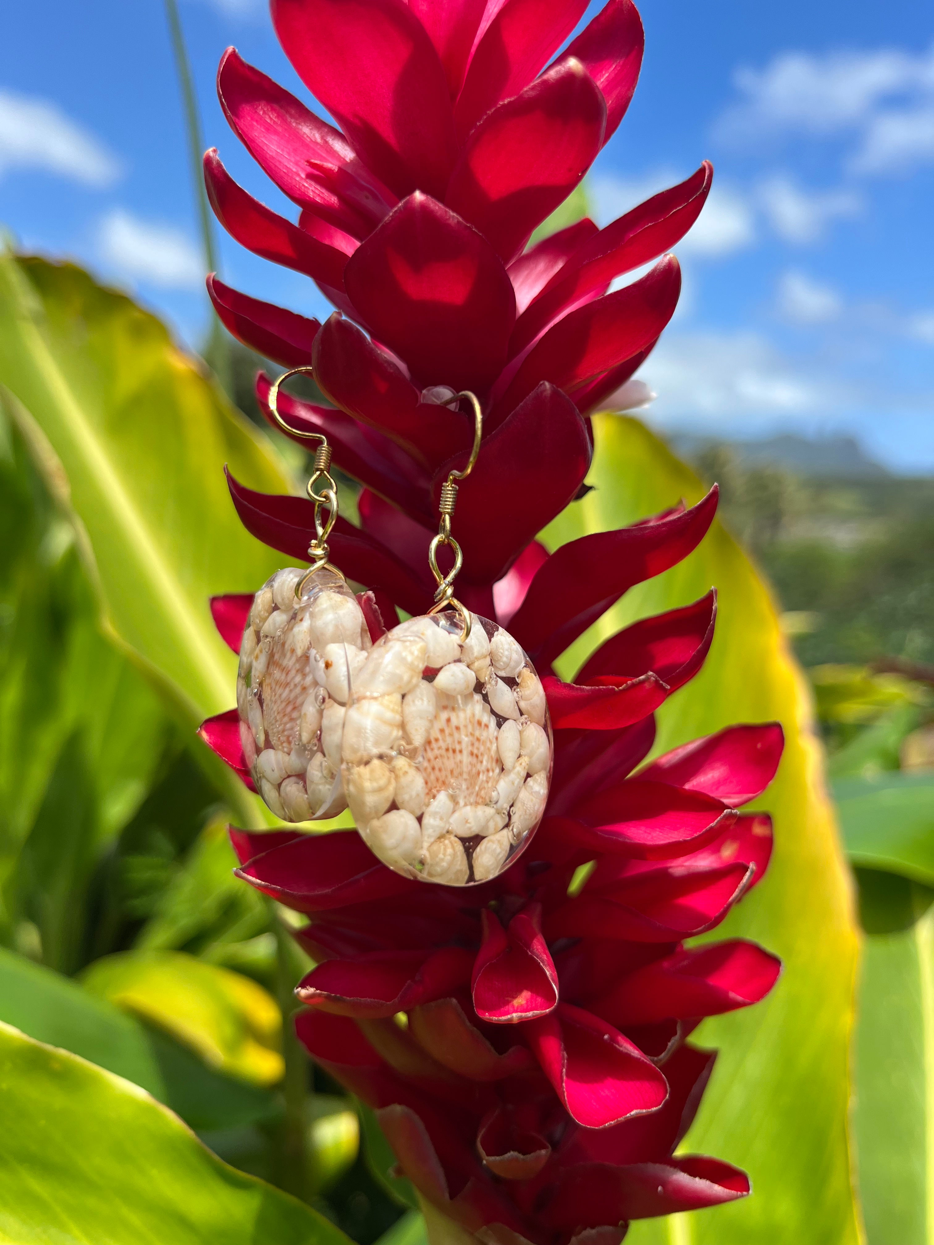 niihau rice shells encased in resin 