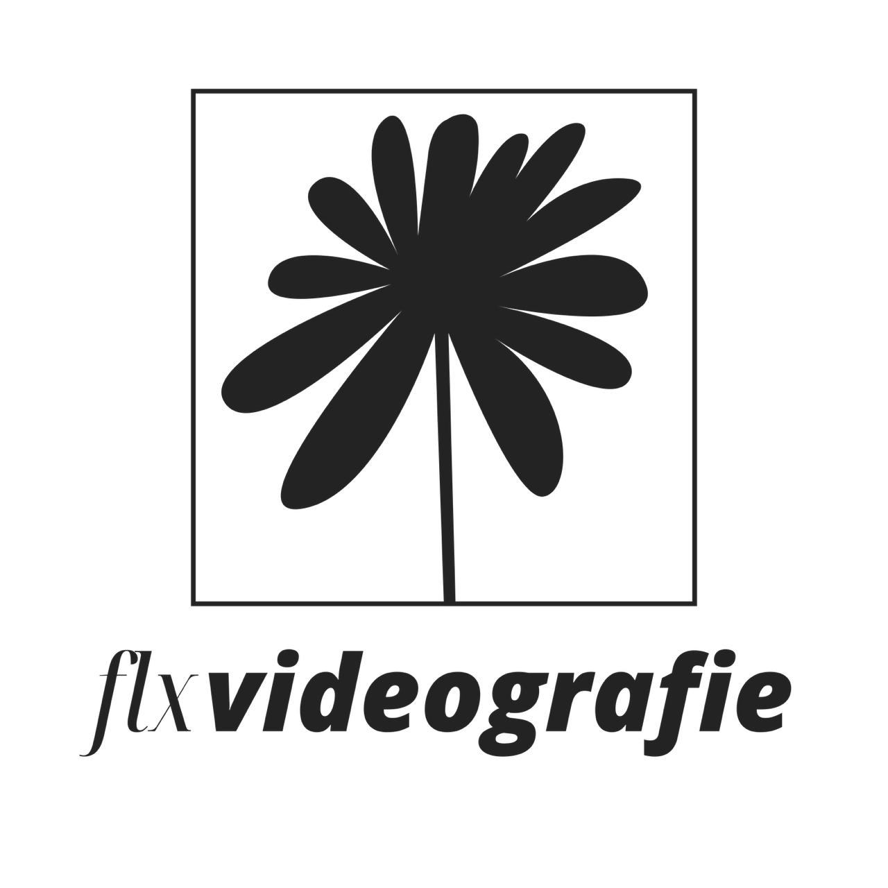 FLX Logo