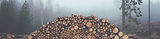 Dekoratives Holzelement im Bereich Dachdeckerei – Holzbau und Dacharbeiten von Holzbau Schwan