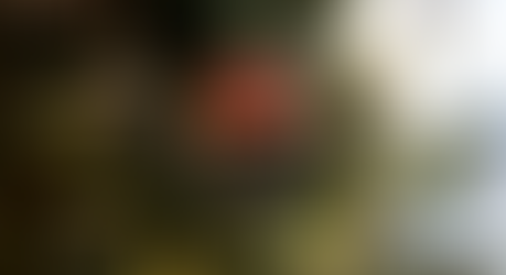 Terston Holiday Gift Guide: Part II