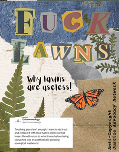 Fuck Lawns zine cover