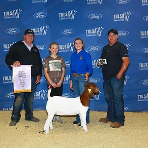 Tulsa State Fair_Reserve heavy weight doe Katie Trammell.jpg