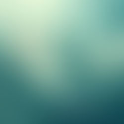 Cómo Seguir a los mejores y dejar de reinventar la rueda