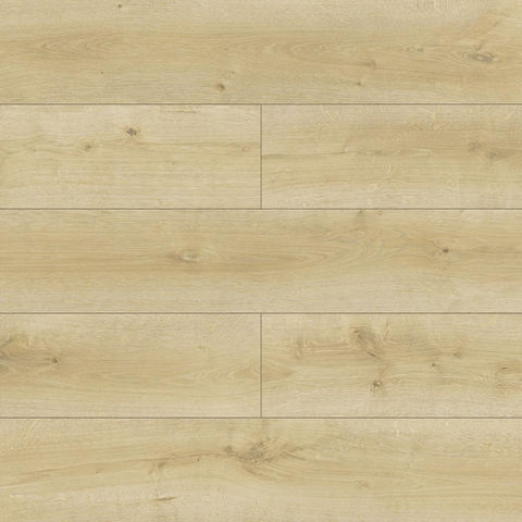 Scorpio Oak