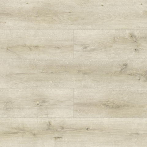 Capricorn Oak