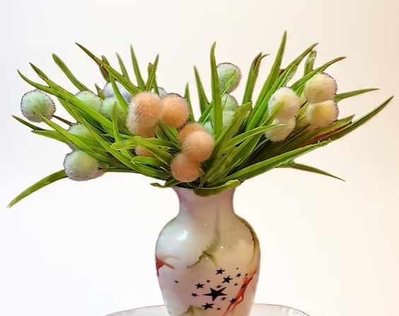 pompom