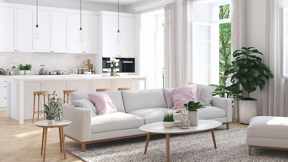 Beautiful Apartment Living Area