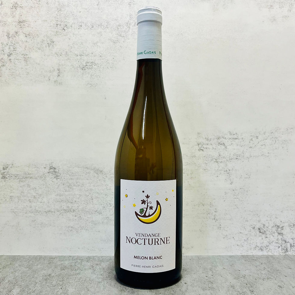 Melon Blanc Vendange Nocturne