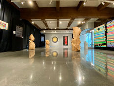Mathieu Rousseau, artiste en arts visuels canadien