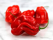habanero.jpg