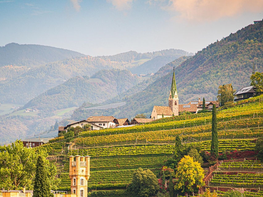 She Makes the Wine: Italy's Women Winemakers