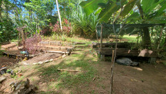 20210203_101553.jpeg