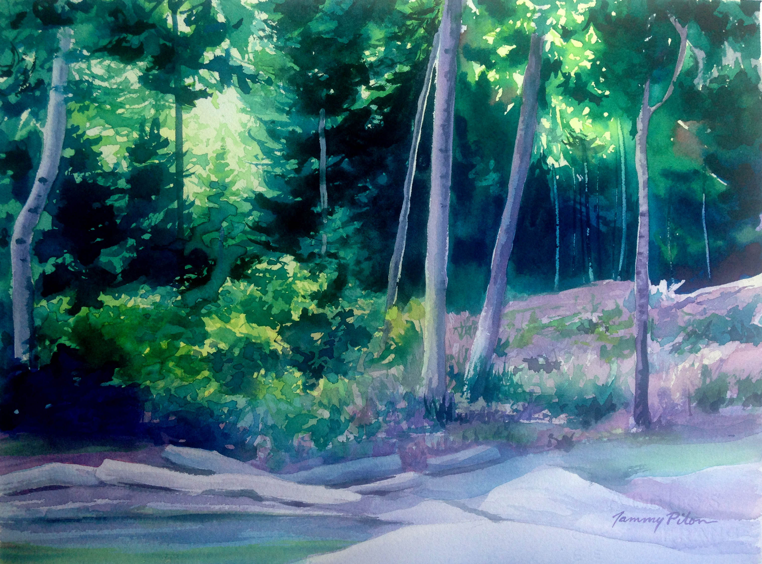 Forest and Beach on Galiano Island