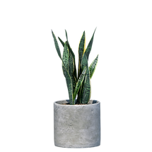 Design sem nome (13).png