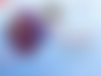 꽁머니사이트공식