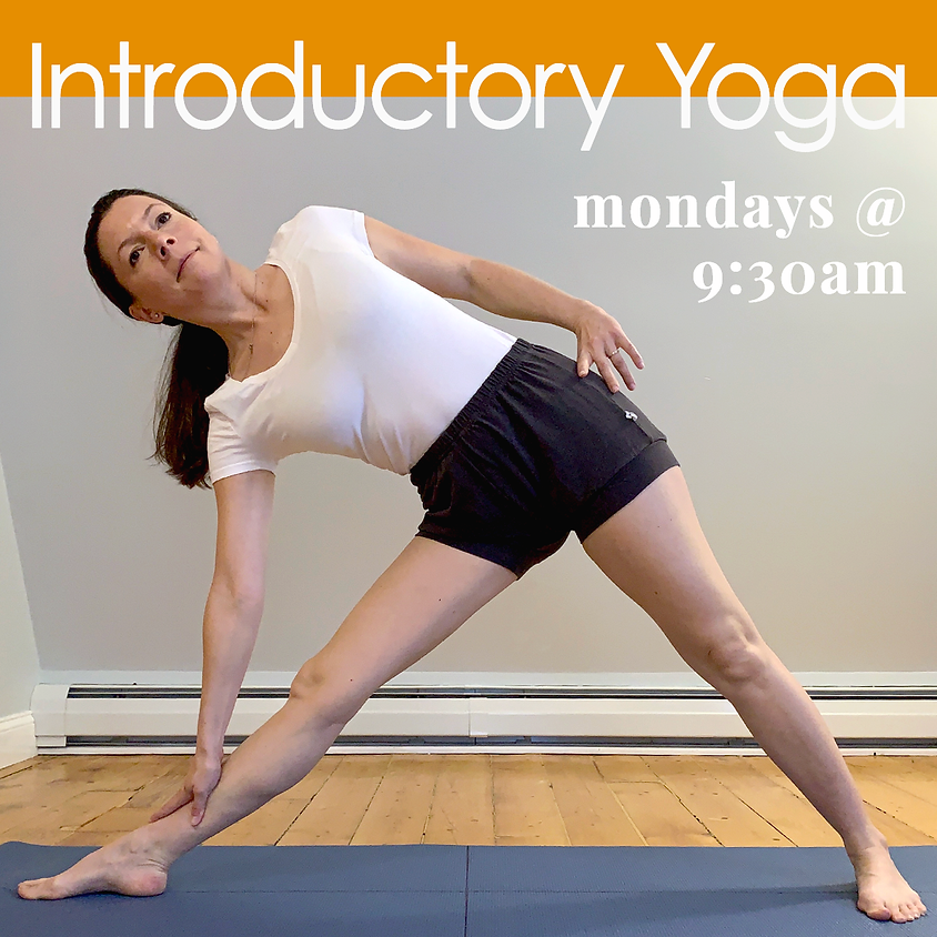 Introductory Yoga - Livestream