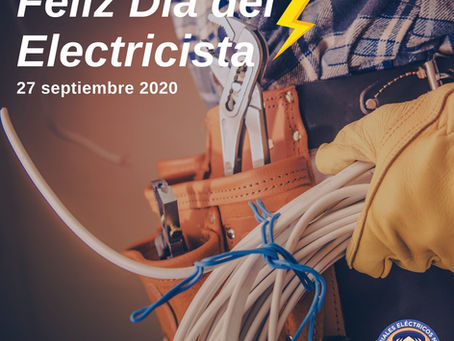 Maestro Electricista
