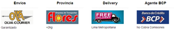 envios1.png