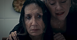 Captura de pantalla (35).png