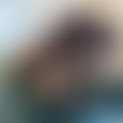 新しい「欲しい」