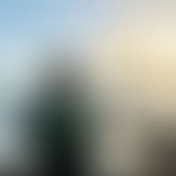 ほんのつかの間