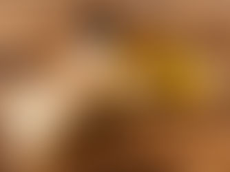 Daily Skincare Routine Using Organic Beauty Products