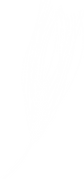 Screenshot 2025-08-09 161636_white_nobg.png